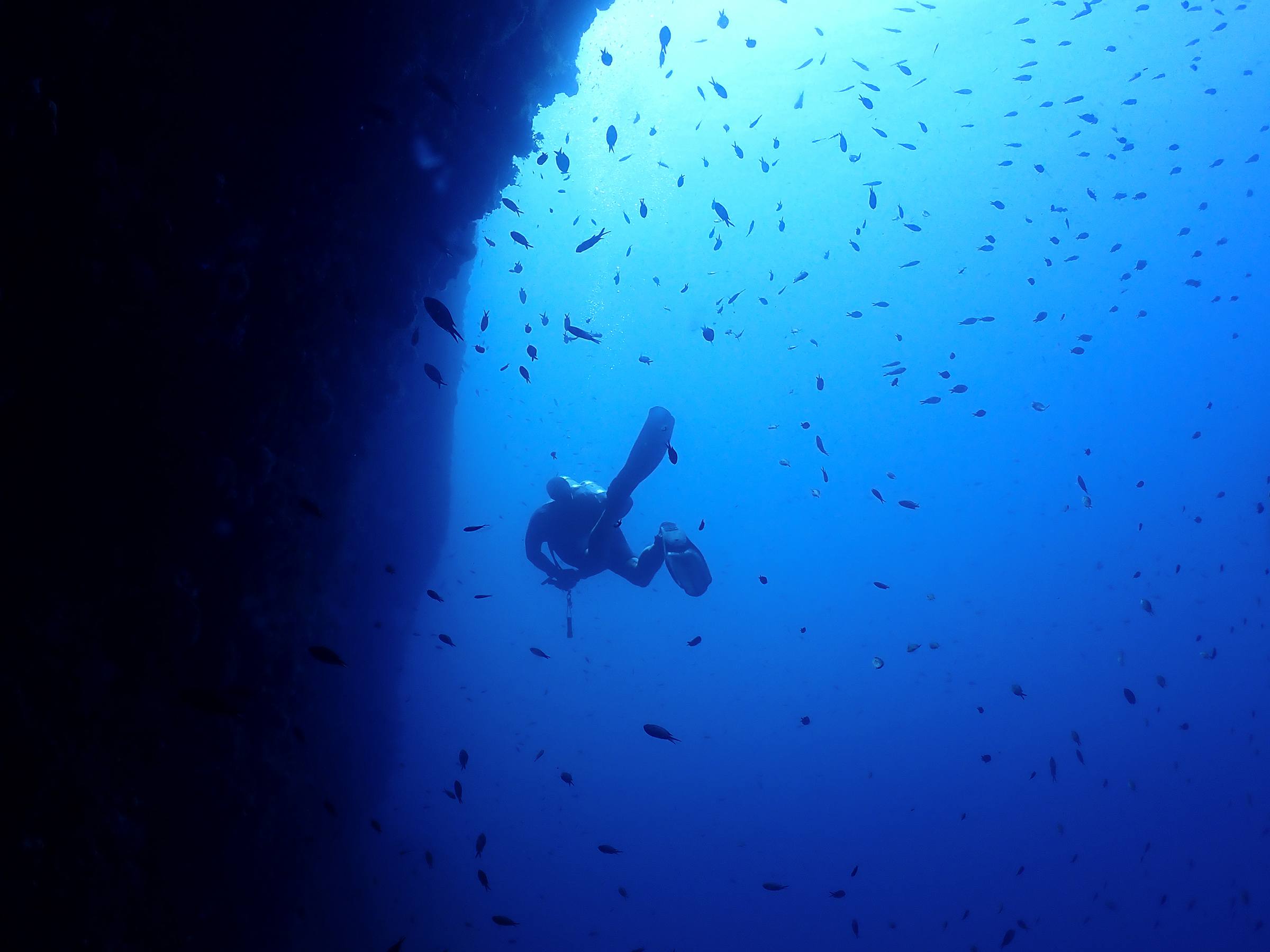 Diving walls Kornati